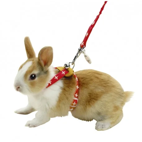 - Winter warm clothes for short-haired dogs Marukan Harness For Rabbits